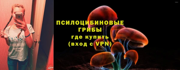 спайс Абаза