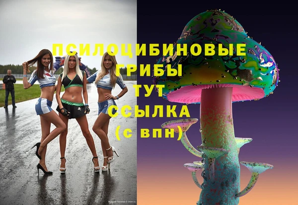 спайс Абаза