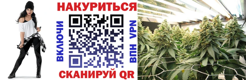 Канабис сатива  Канск 